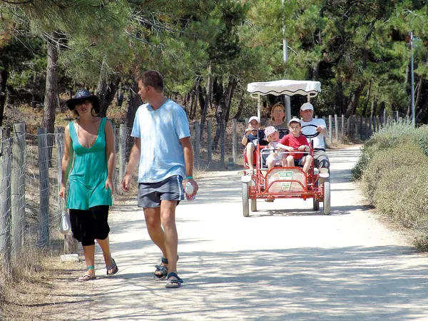 Location de vélos en famille au camping Roan Le Domaine du Clarys.