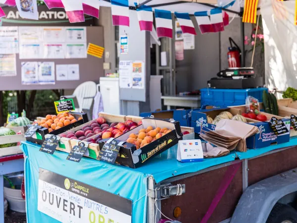 Étalage de fruits au camping Roan La Chapelle.