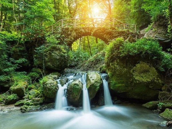 Magnifique environnement à proximité du camping Roan hu Birkelt village.