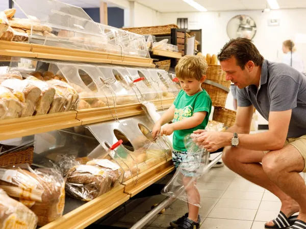 Des petits pains frais au camping Roan De Twee Bruggen.