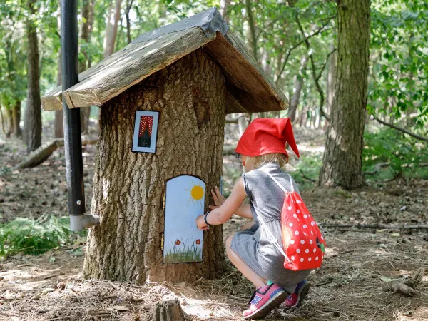 Sentier des gnomes dans la forêt randonnée du camping Roan Terspegelt.