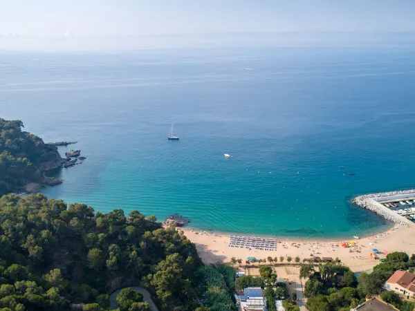 Vue d'ensemble de la plage avec la mer au camping Roan Cala Canyelles.