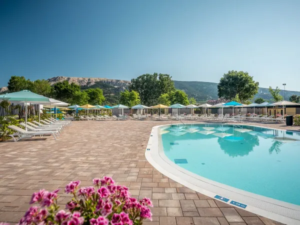 Petite piscine au camping Roan Baška Camping Resort.