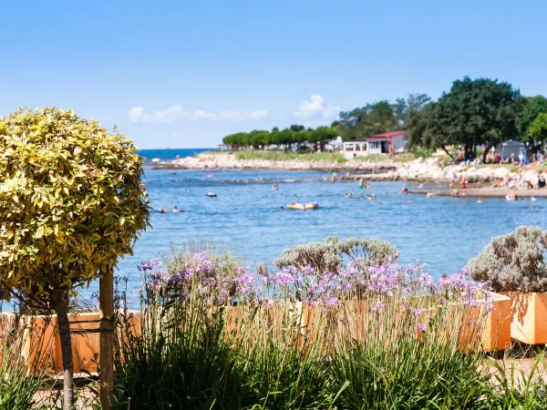 Plage de galets au Roan camping Park Umag.