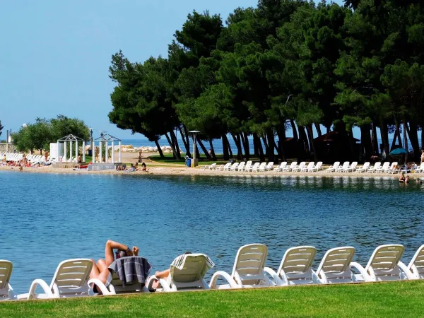 Chaises longues sur la plage près du camping Roan Stella Maris.