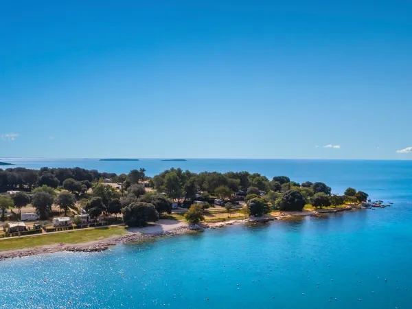 Vue d'ensemble Roan campant Polari sur la côte.