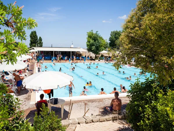 Une piscine animée au camping hu Fabulous village.