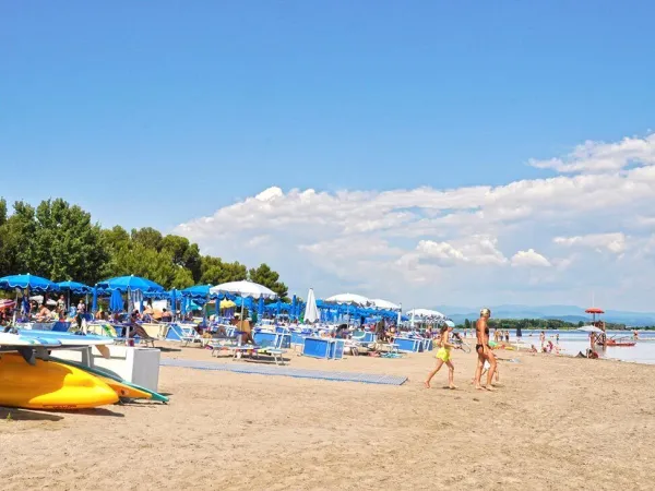 Plage près du camping Roan Villaggio Turistico.