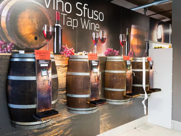 Tonneaux de vin pour le vin local au camping Roan hu Altomincio village.