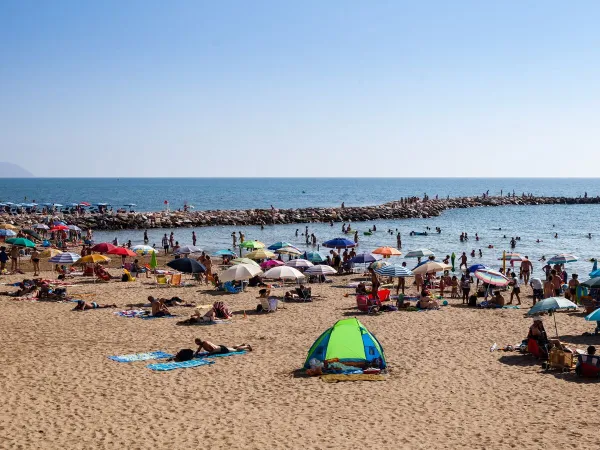 Plage à proximité du camping Roan hu Park Albatros village.