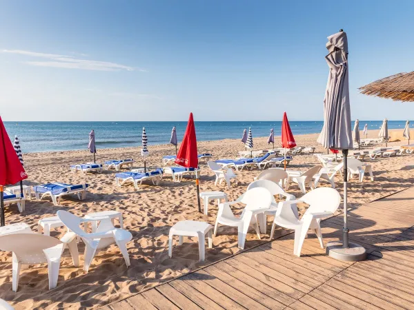 Transats sur la plage près du camping Roan Les Sablines.