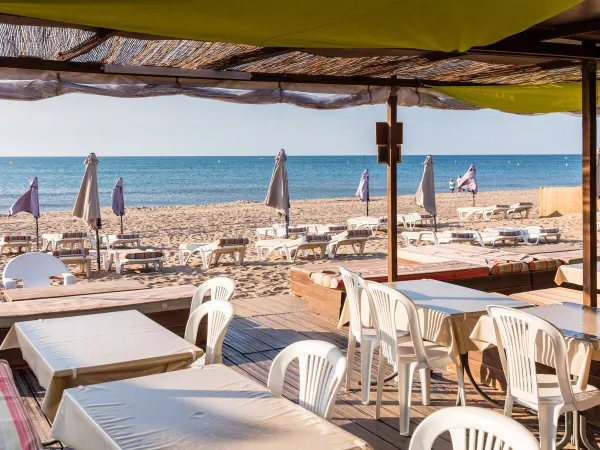 Terrasses en bord de mer au camping Roan Les Sablines.