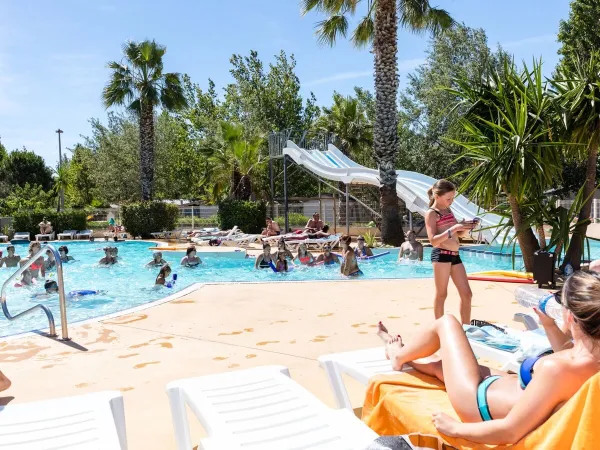 Piscine avec chaises longues au camping Roan Les Sablines.