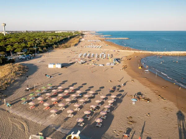 Chaises longues sur la plage du camping Roan Union Lido.