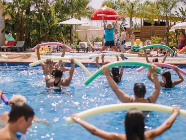 Animation de la piscine au camping Roan Caballo de Mar.