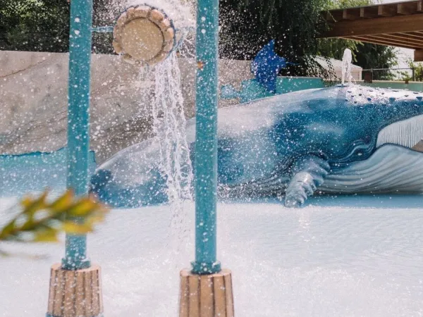 Objet de la piscine au camping Roan Caballo de Mar.