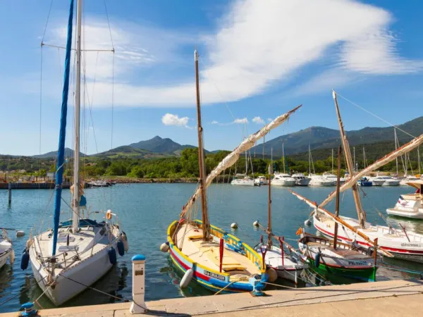 Petit port près du camping Roan La Sardane.