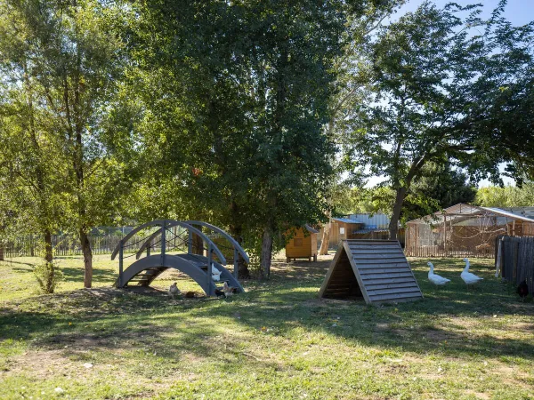 Les environs de l'hébergement Roan au camping de la Sardane.