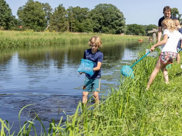 Activités dans le Slinge au camping Roan De Twee Bruggen.