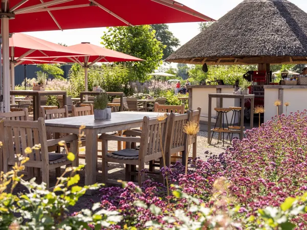 Bar extérieur avec terrasse au camping Roan De Twee Bruggen.