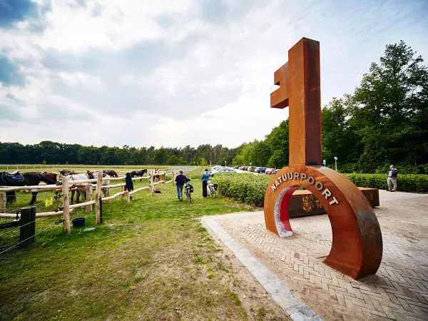 Porte de la nature au camping de Roan Terspegelt.