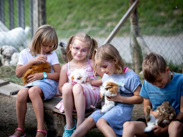 Les animaux s'amusent au camping Roan Bella Austria.