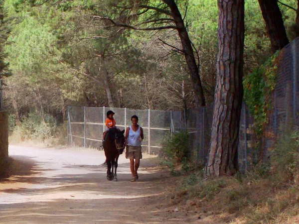 Randonnée à cheval près du camping Roan Playa Brava.