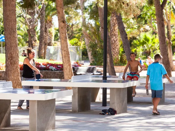 Tennis de table au Roan camping Vilanova Park.