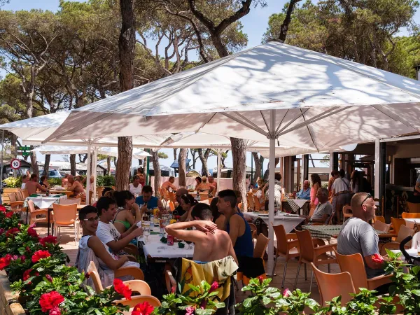 Une terrasse complète au Roan Camping El Pinar.