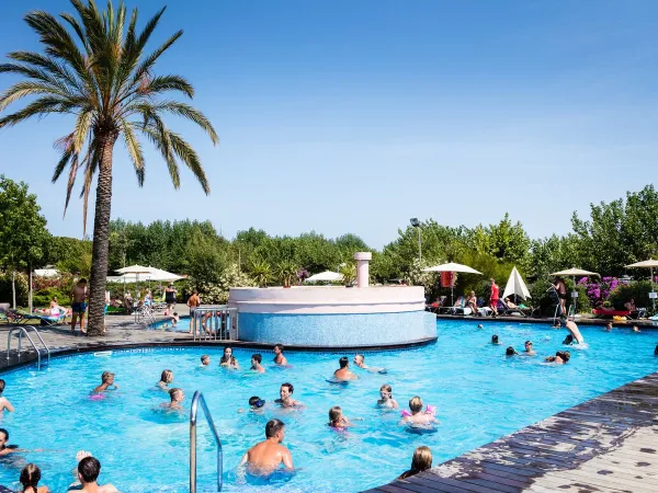 Les gens s'amusent dans la piscine du Roan Camping El Pinar.