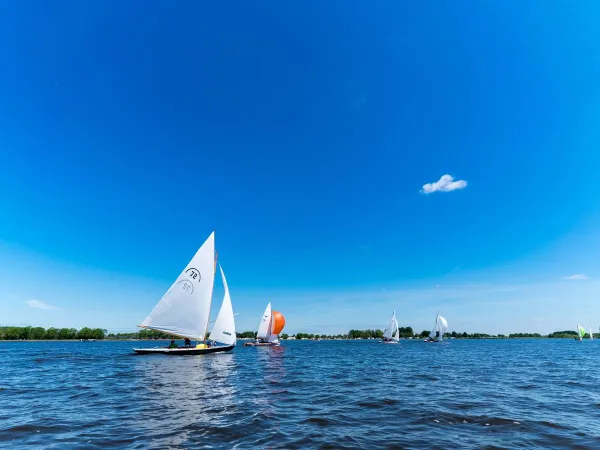 Bateau sur le lac Slotermeer au camping Roan Marvilla Parks Friese Meren.