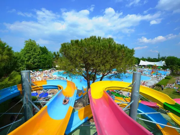 Toboggans dans la piscine du camping Roan Bella Italia.