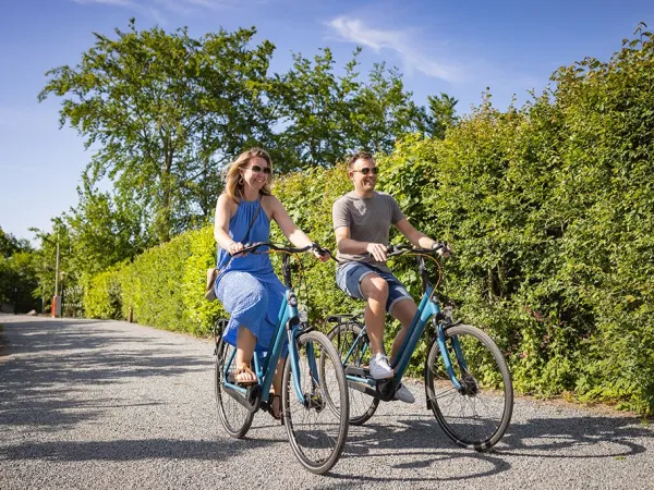 Partager l'itinéraire cyclable près du camping Roan Marvilla Parks Friese Meren.