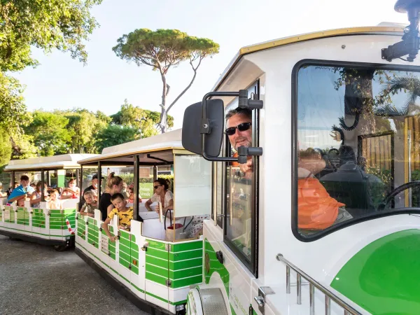 Petit train au camping Roan hu Park Albatros village.