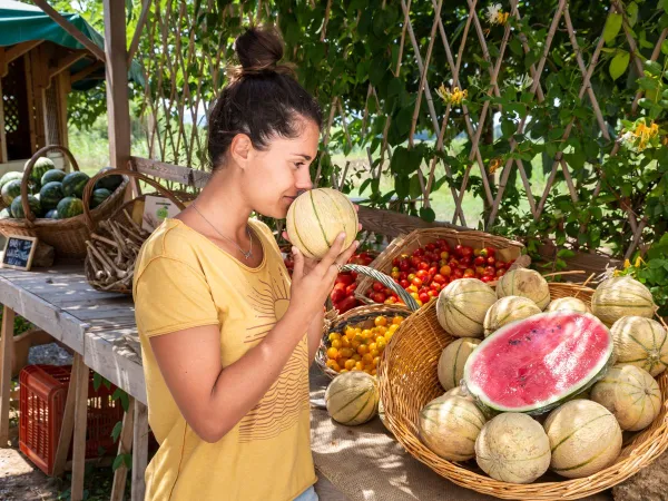 Fruits frais au camping Roan hu Park Albatros village.