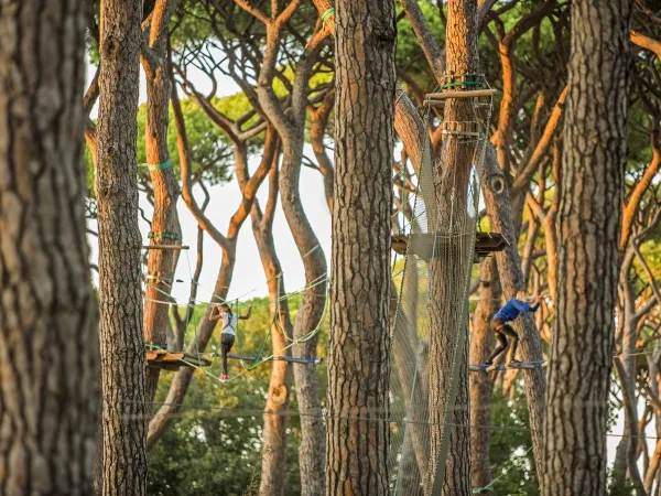 Cours d'accrobranche au Roan camping Park Albatros.