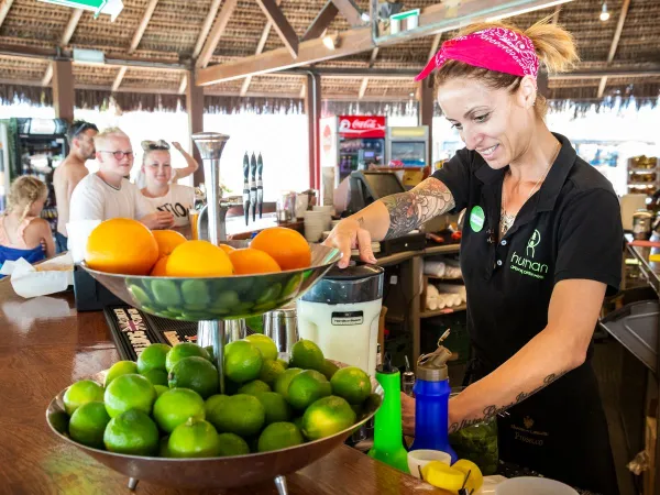 Smoothie frais au Roan camping Park Albatros.