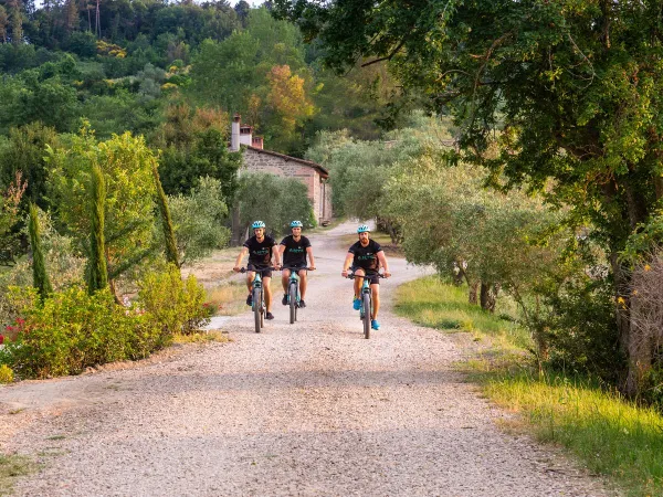 VTT près du camping Roan Norcenni Girasole.