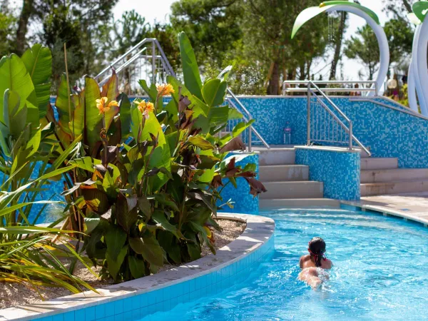 Piscine partielle au camping Roan Mediterraneo.