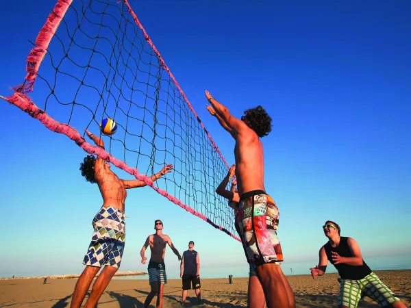 Terrain de volley-ball au camping Roan Mediterraneo.