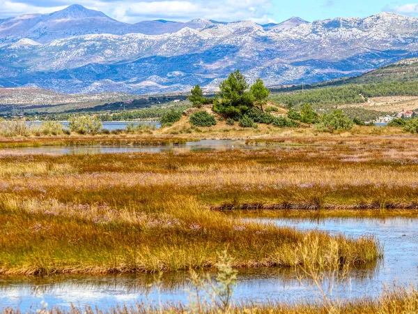 Environnement élaboré près du camping Roan Karin.