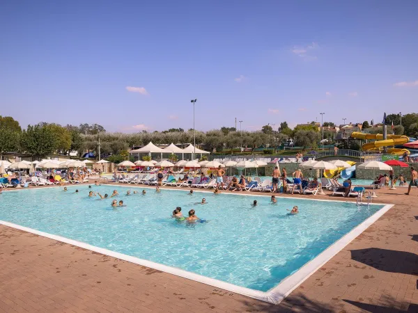 Vue d'ensemble de la piscine du camping Roan Delle Rose.