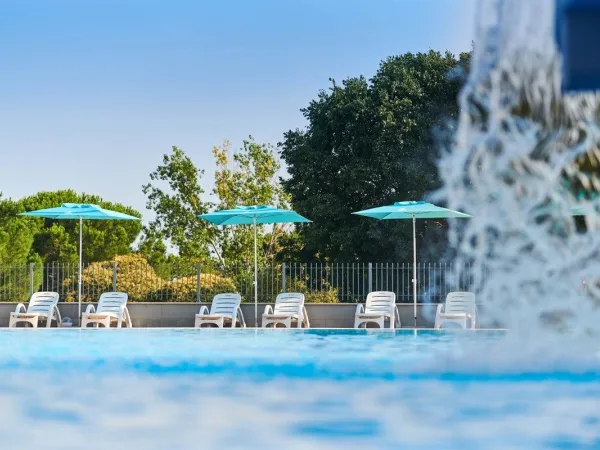 Chaises longues au bord de la piscine du Roan camping Park Umag.