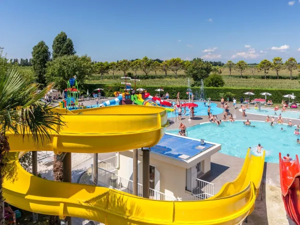 Aperçu des toboggans avec piscine au camping Roan San Francesco.