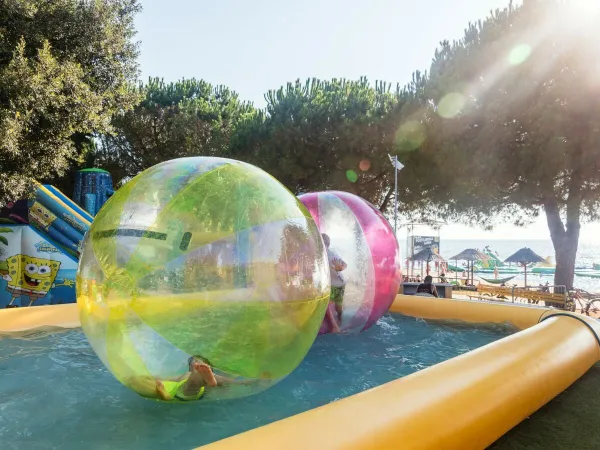 Activité Aquabubble au Roan camping Park Umag