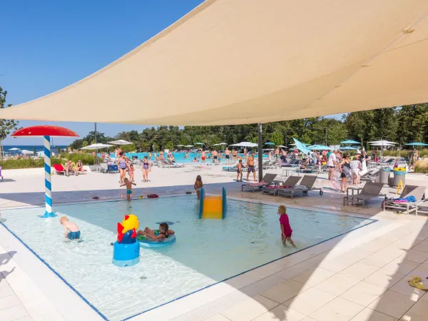 Piscine pour enfants au Roan camping Park Umag.