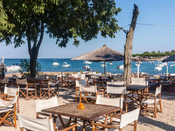 Terrasse au bord de la plage au Roan camping Park Umag.