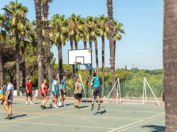 Basket-ball au camping Roan La Baume.