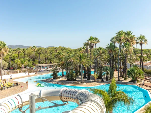 Belle piscine avec palmiers au camping Roan La Baume.