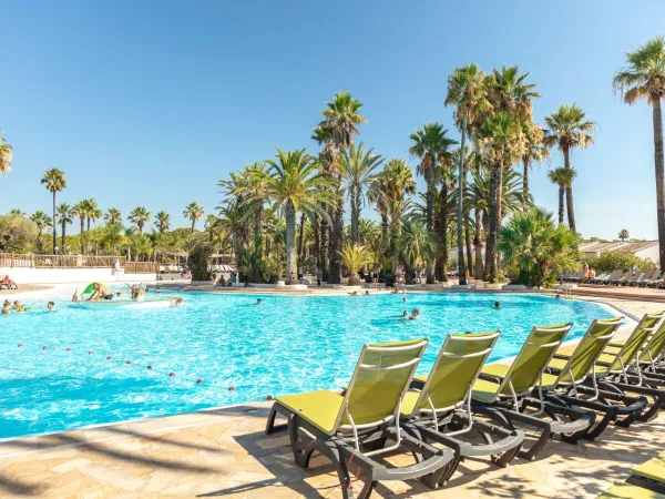 Piscine et chaises longues au camping Roan La Baume.